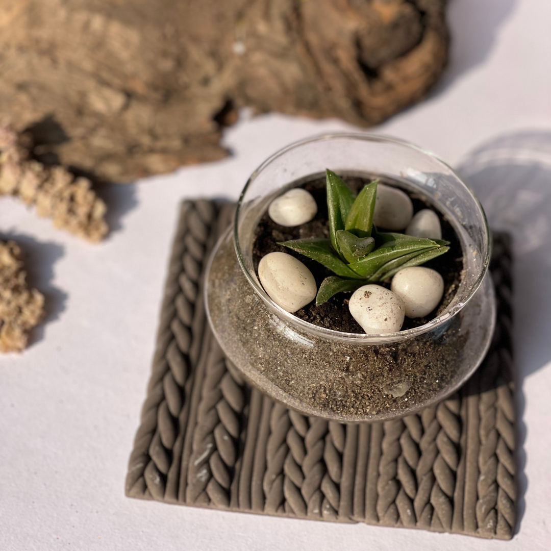 Walnut Whimsy Coasters - Set of 2